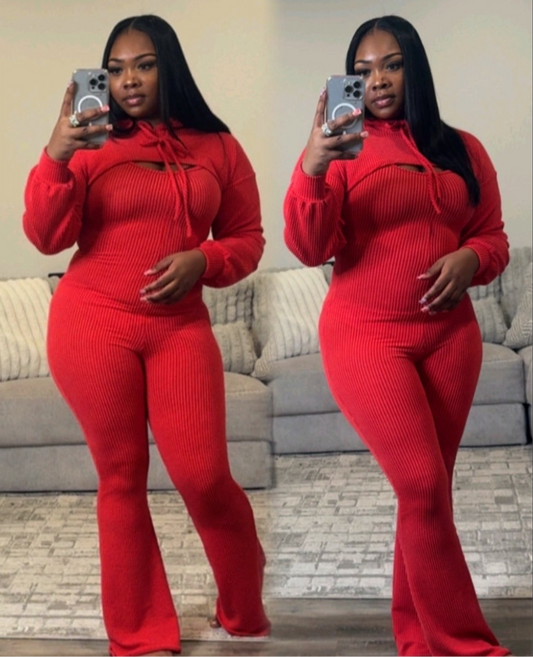 2PC HOODED KNIT JUMPSUIT (2COLORS)